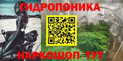 гашик Кунгур