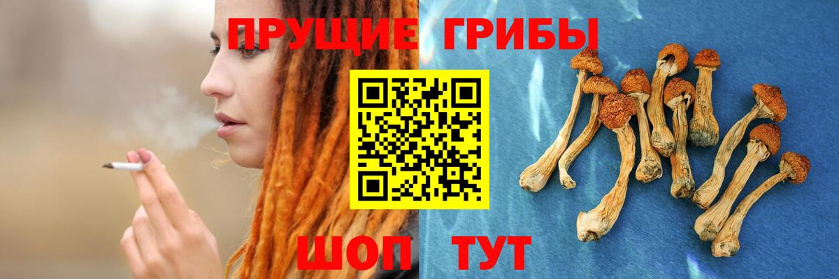 Клин  Псилоцибиновые грибы GOLDEN TEACHER  Псилоцибиновые грибы Magic Shrooms  Вход с VPN 